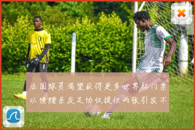法国球员渴望获得更多世界杯门票以馈赠亲友足协仅提供两张引发不满
